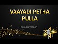 Vaayadi Petha Pulla - Dhibu Ninan Thomas (Karaoke Version)