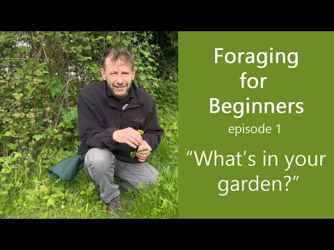 Foraging For Beginners. Episode 1. Garden 'Weeds'