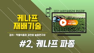 [케나프 재배기술] part 2. 케나프 파종