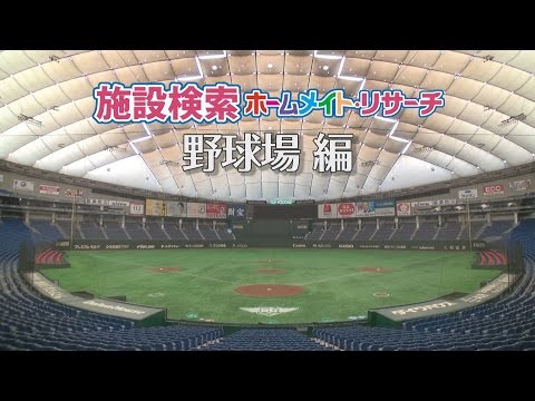 スポランド jr東日本野球部柏野球場 スポランド jr東日本野球部柏野球場