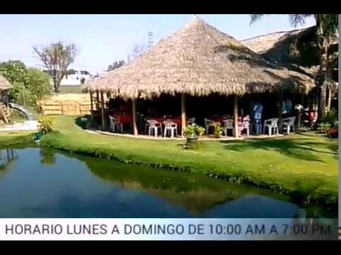 PALAPA SUR RESTAURANTE