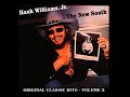 Looking At The Rain by Hank Williams Jr. from his album The New South Vol. 2
