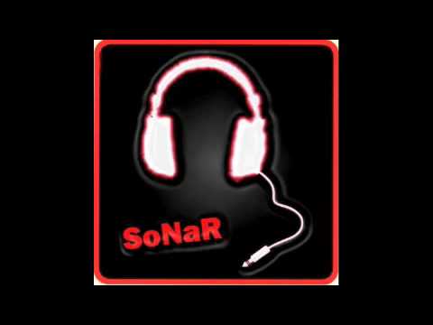 SoNaR - My team