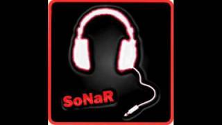 SoNaR - My team