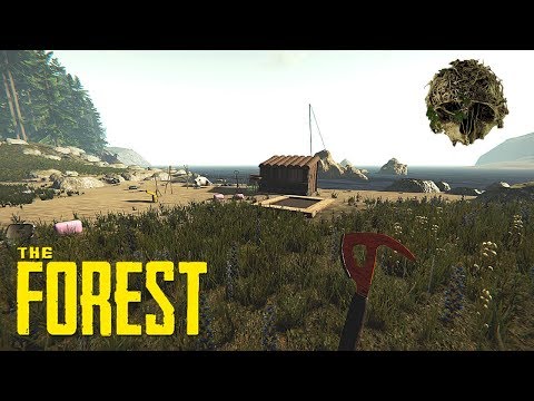 PLACE FOR THE FIRST CAMP - The Forest #1