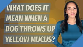 What does it mean when a dog throws up yellow mucus?
