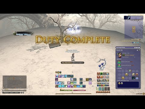 FFXIV WHM PotD Solo Endwalker [HEALER TUTORIAL #2]