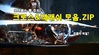 검벨라 허쉴? (검벨라 영업 영상 ㅋㅋ)