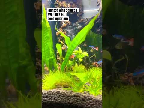 Planted tank with sandfall available @ cool aquarium 8310736297 #aquarium #fish #fishtank #fishtank
