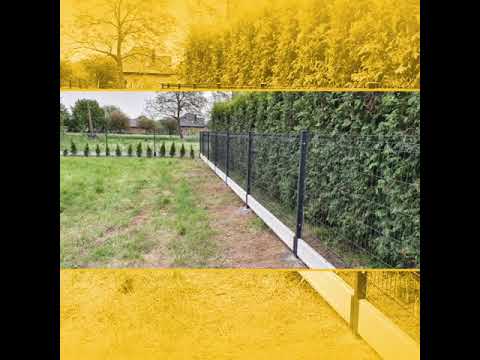 Budowa przebiśniegi 4g2 - 2020 :)