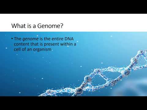 Module 1 What is Genome Sciences