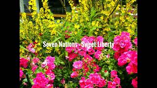 Seven Nations - Sweet Liberty
