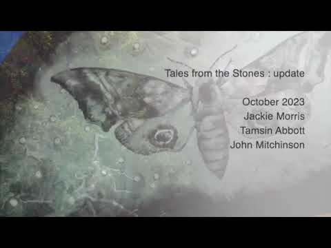 Wild Folk - Live at Seven Fables