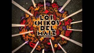 4. Gente V.I.P. [Los Chikos del Maiz - Pasion de Talibanes Disco 2011]