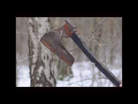 NARRENWIND - Nic (official video)