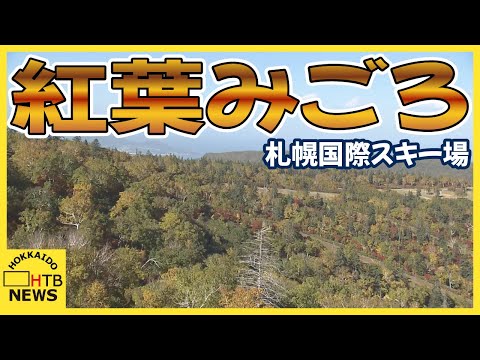 「３６０度紅葉が広がって」札幌国際スキー場　紅葉狩りはゴンドラに乗って　紅葉のピークはこれから