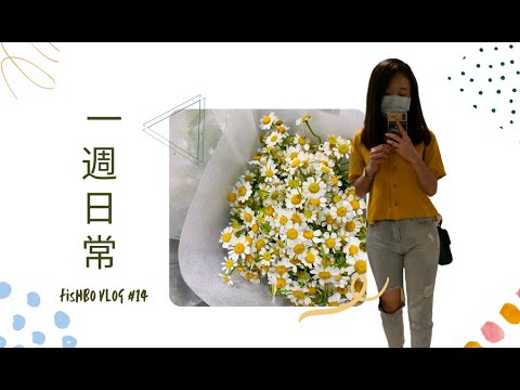 我的一週 Fishbo Vlog#14【吃飯/買花/逛IKEA/以前的片段】 #weekly#vlog#Food#flowers#ikeaMY#Langkawi#Christmas