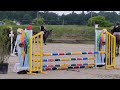 MINEDORE DE L'AUMOY - femelle PFS 4 ans