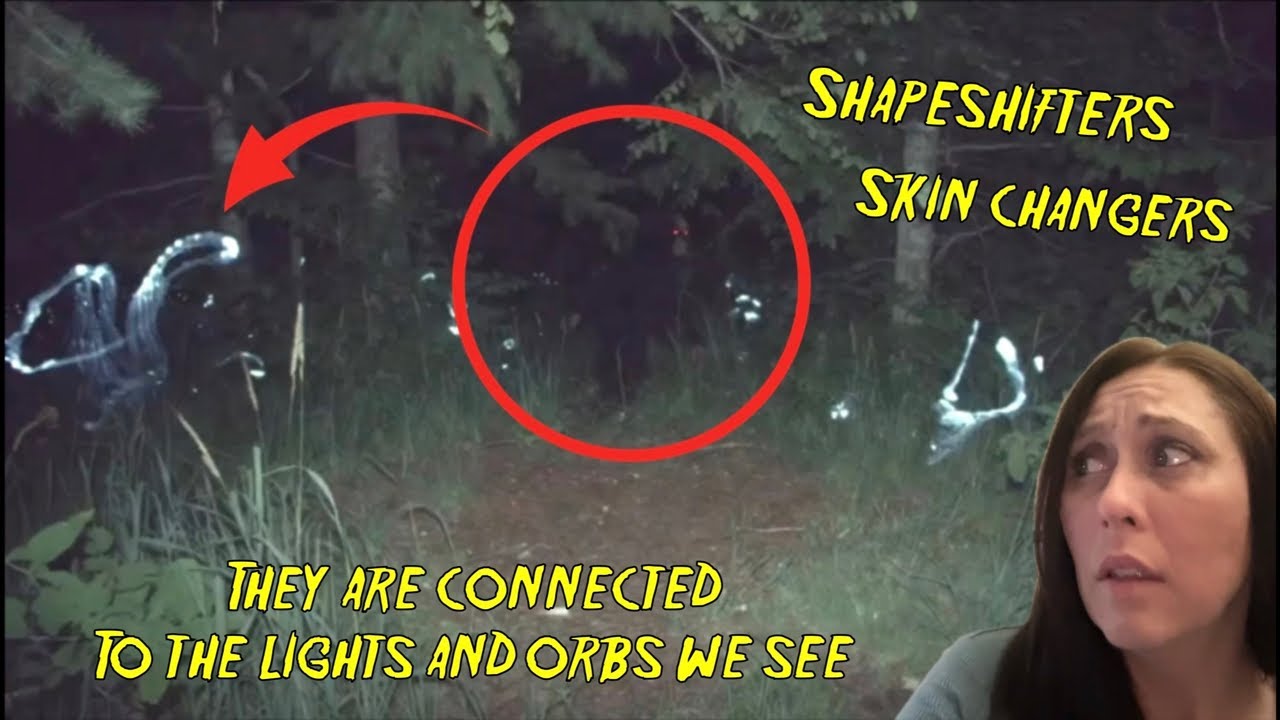 STRANGE CREATURES MIMIC HUMANS