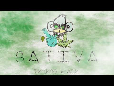 RYMKOO x ADY - SATIVA