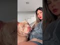 My Dog Wants To Suck Me On My Private Part Shorts Dog