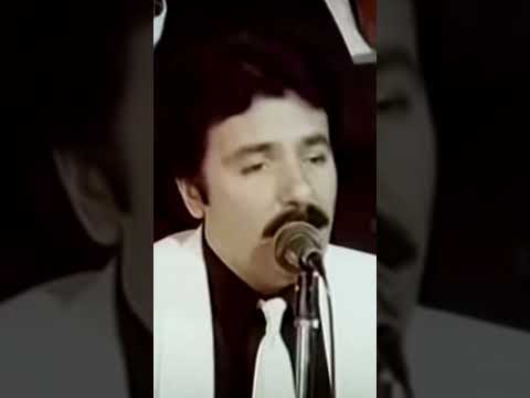 Ferdi Tayfur. Ben seni öyle sevdim öyle sevdim ki.