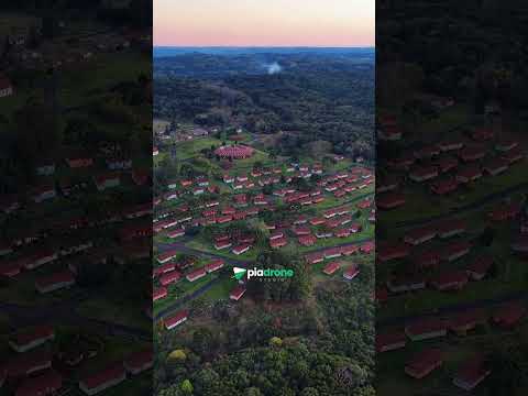 Faxinal Paraná #noticias #foto