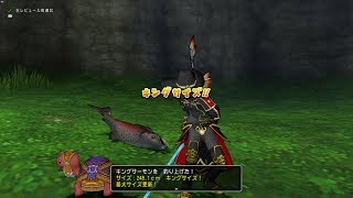 1st) 60fps 2018.0306.04:26開始【実況無し】ドラクエ10「全魚キングサイズを目指す配信」GeForceライブでテスト