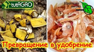 Удобрение из мусора: 0 рублей, 100% пользы! Как заставить соседей завидовать ва?