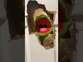 Elmo And Kermit Break The Door Open
