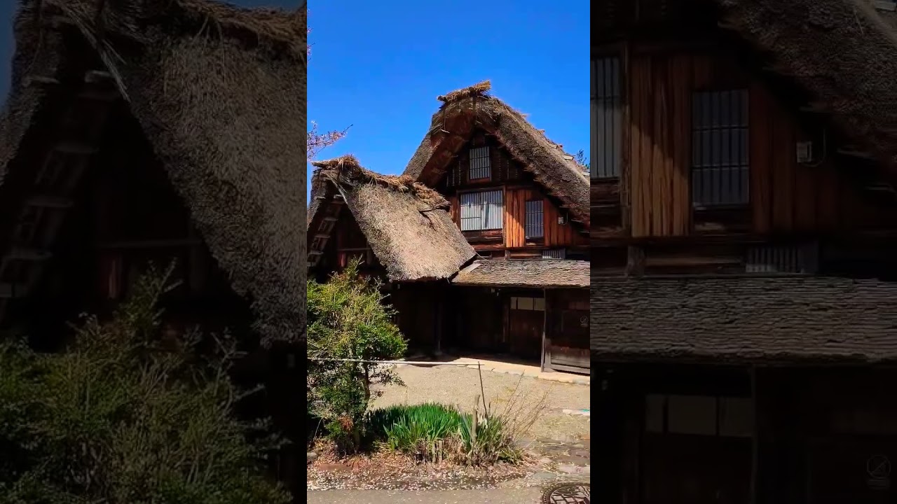 YouTube Short thumbnail