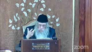 הרה"ג הרב וועכטר שליט"א י"ג חשון תשפ"ה - ליקוטי שיחות חלק ט"ו פרשת נח שיחה ב חלק ה (הרב אברהם מנחם מענדל וכטר) - התמונה מוצגת ישירות מתוך אתר האינטרנט יוטיוב. זכויות היוצרים בתמונה שייכות ליוצרה. קישור קרדיט למקור התוכן נמצא בתוך דף הסרטון