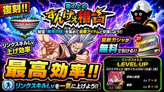 【ドッカンバトル】リンクLv上げ最高効率ステージ復刻！戦闘力1700万を目指して『雲の上のすんげえ稽古』周回生配信！