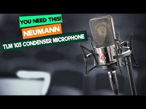 Neumann TLM 103 Large Diaphragm Cardioid Condenser Microphone with Neumann EA 4 Shockmount image 11