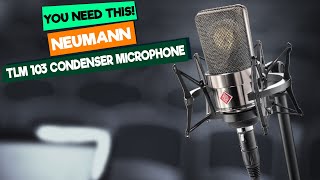 Neumann TLM 103 Review: Is It Still the Best Studio Microphone in 2025? (Vocal Test & Specs)