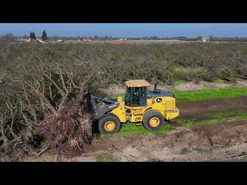 Grinding an Almond Orchard on a sunny January California day