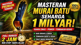 Download lagu RAHASIA MURAI MAHAL! Masteran 1 MILYAR Bikin Emosi Meledak 🔥 (Full 2 Jam) mp3