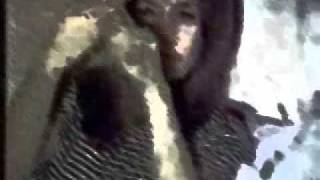 The Flaming Lips - 'Silver Trembling Hands' video