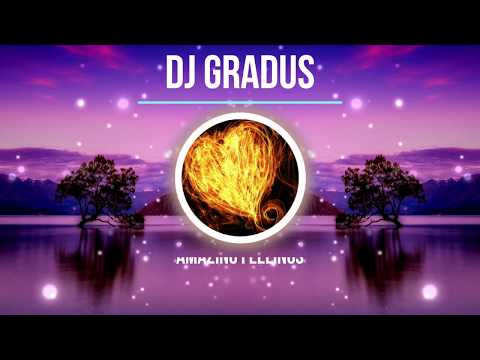 Dj Gradus   Amazing Feelings