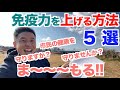 【#164】免疫力を上げる方法5選。筋肉と健康は自ら守る。