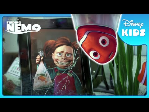 🏁 Will Nemo Join the Tank Gang? | Finding Nemo | Disney Kids