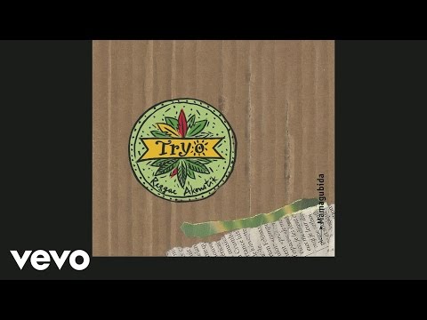 Tryo - La main verte (Live) (Audio)