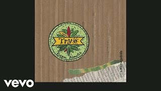 Tryo - La main verte (Live) (Audio)