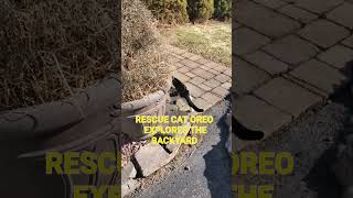 Download lagu Can you see he can't contain his excitement mp3