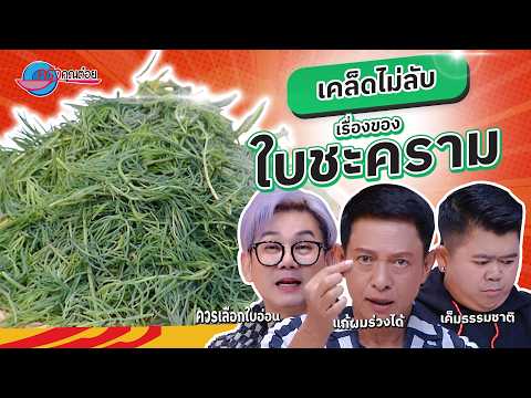 คลิกเพื่อดูคลิปวิดีโอ