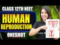 Human Reproduction Timestamps | Class 12 NEET Complete Chapters