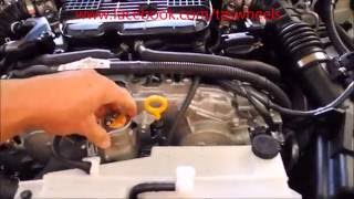 370Z Cooling system upgrade PART 2 Evans Waterless Coolant / Mishimoto Rad hoses / Racing Thermostat