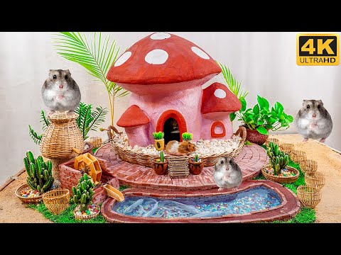 Build Hamster House And Aquarium Fish Pond DIY