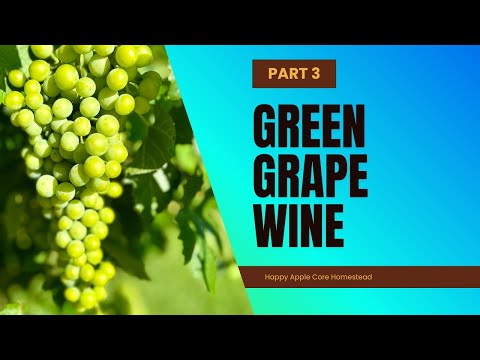 Green Grape Wine | Himrod | Part 3