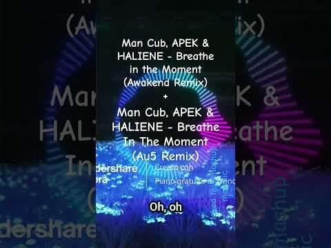 I Loved this Melodic Mashup.  #mashup2023 #melodicdubstep #futurebass #apek #haliene